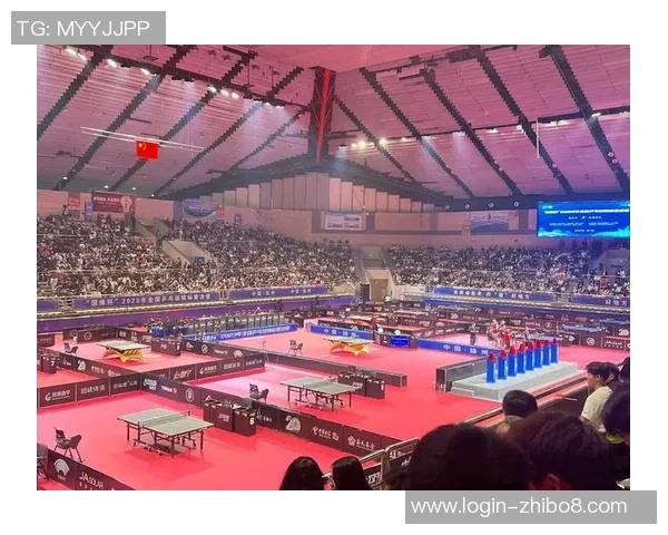 南京乒乓球队转型之路的挑战与机遇全景揭秘